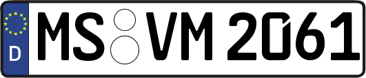 MS-VM2061