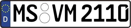 MS-VM2110