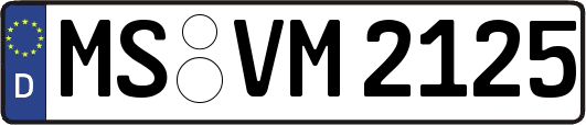 MS-VM2125