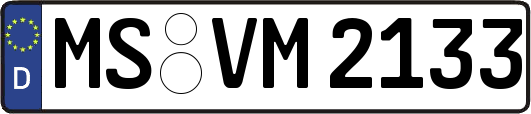 MS-VM2133