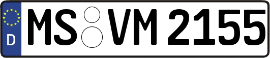 MS-VM2155