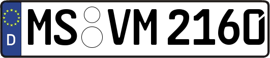 MS-VM2160