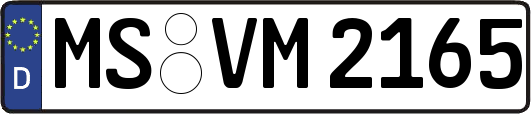 MS-VM2165