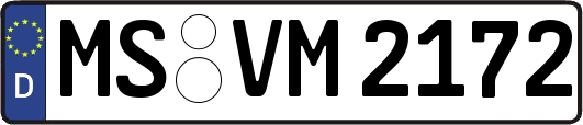 MS-VM2172