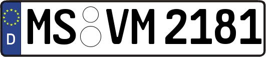MS-VM2181