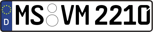 MS-VM2210