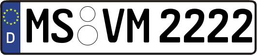 MS-VM2222