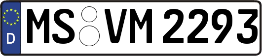 MS-VM2293