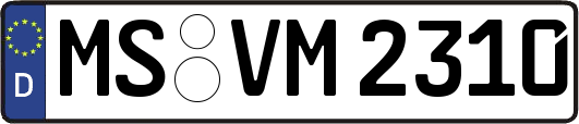MS-VM2310