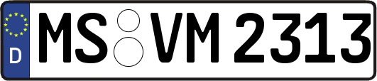 MS-VM2313