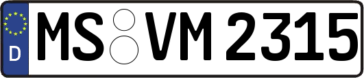 MS-VM2315