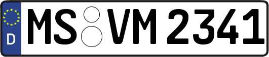 MS-VM2341
