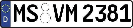 MS-VM2381