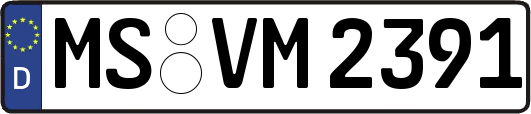 MS-VM2391