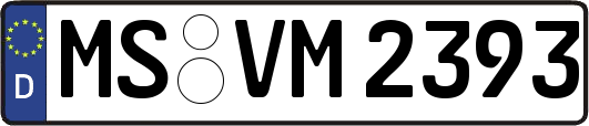 MS-VM2393