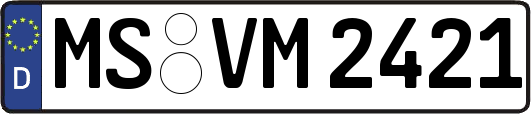 MS-VM2421