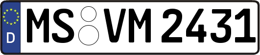 MS-VM2431