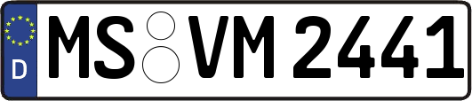 MS-VM2441