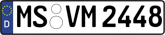 MS-VM2448
