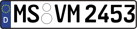 MS-VM2453