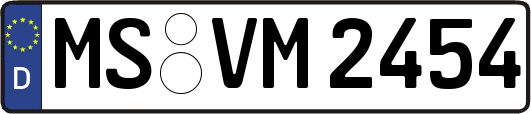 MS-VM2454
