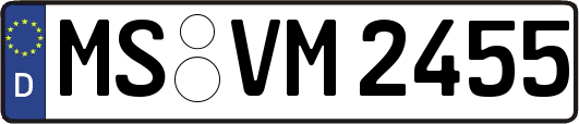 MS-VM2455
