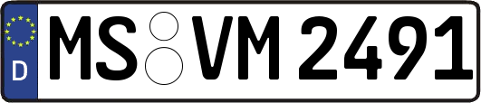 MS-VM2491