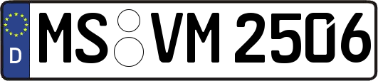 MS-VM2506