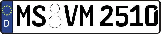 MS-VM2510