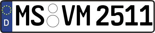 MS-VM2511