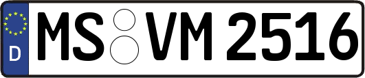 MS-VM2516