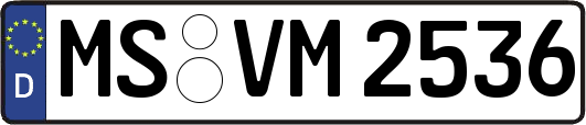 MS-VM2536