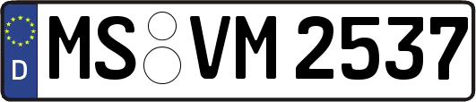 MS-VM2537