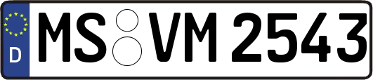 MS-VM2543