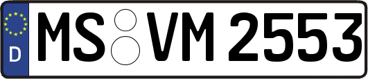 MS-VM2553