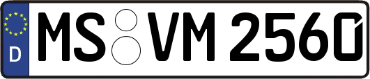 MS-VM2560
