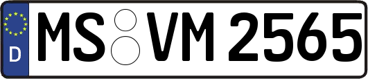 MS-VM2565