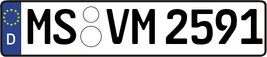 MS-VM2591