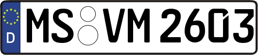 MS-VM2603