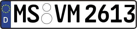 MS-VM2613