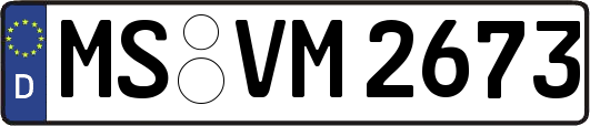 MS-VM2673