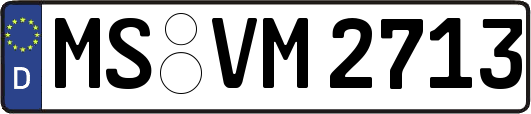MS-VM2713