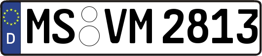 MS-VM2813