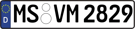 MS-VM2829