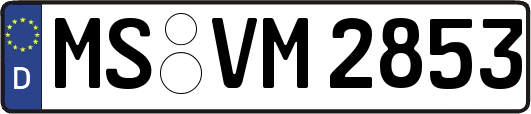 MS-VM2853