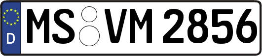 MS-VM2856