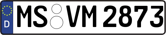MS-VM2873