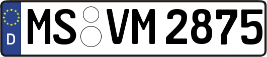 MS-VM2875