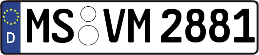 MS-VM2881