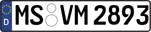 MS-VM2893